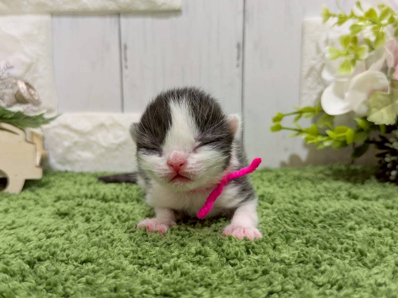 赤ちゃん写真1-1