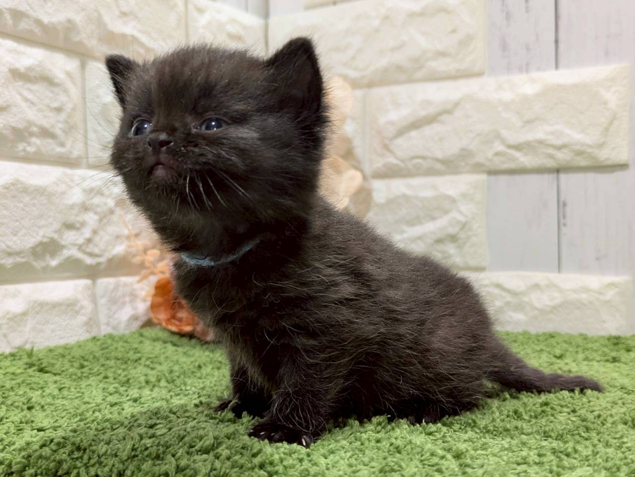赤ちゃん写真2-2