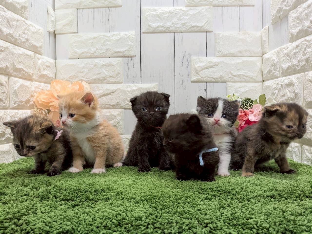 赤ちゃん写真2-3