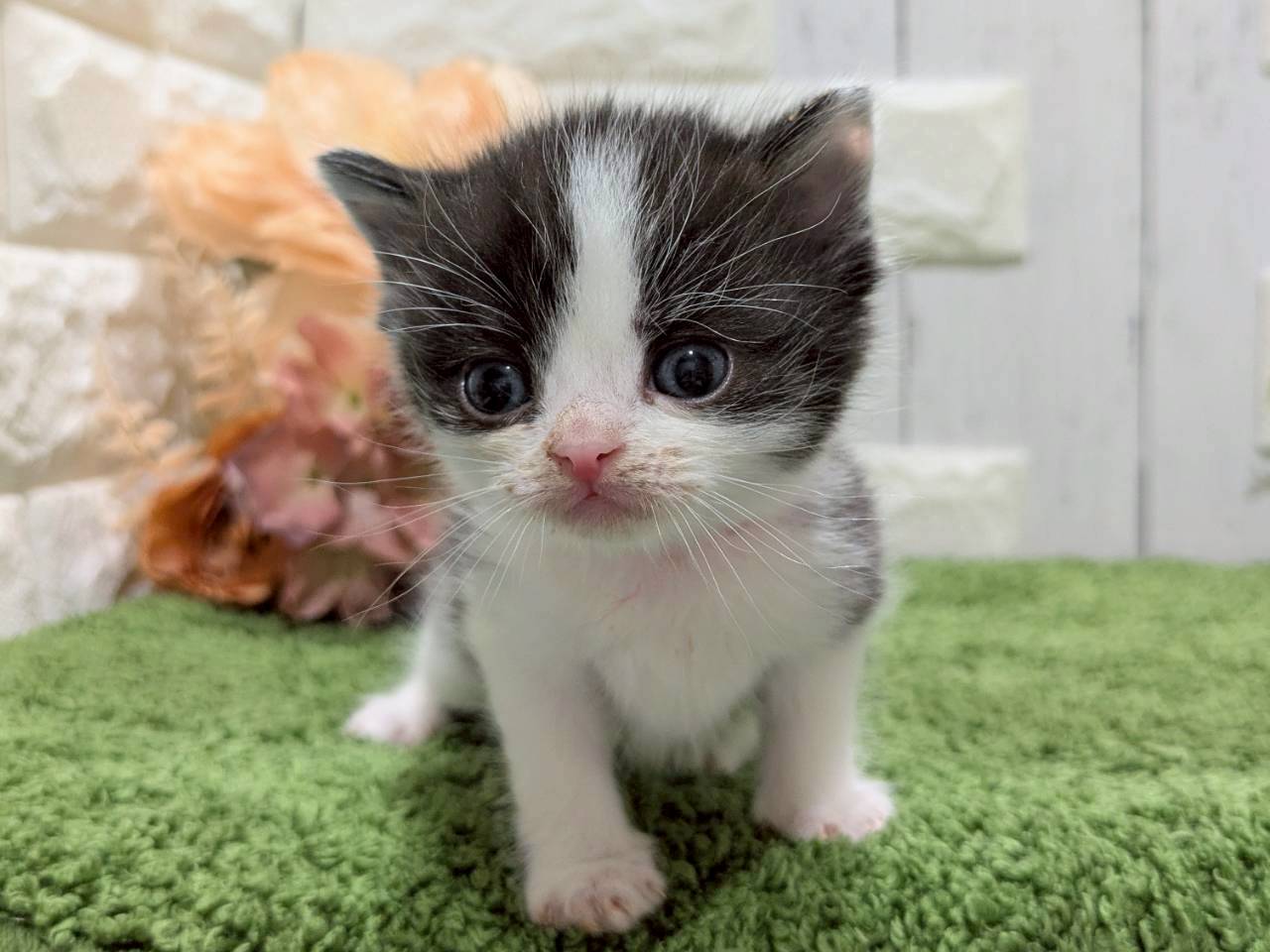 赤ちゃん写真2-1