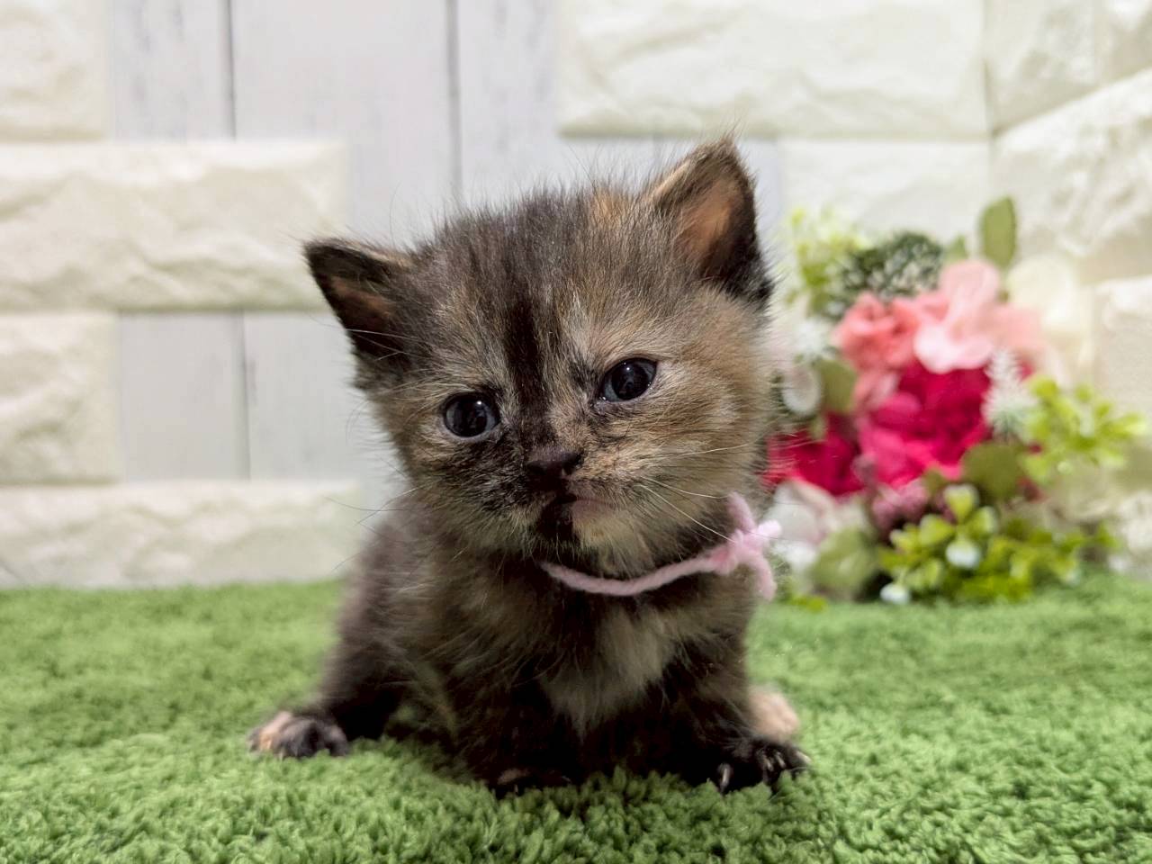 赤ちゃん写真2-1