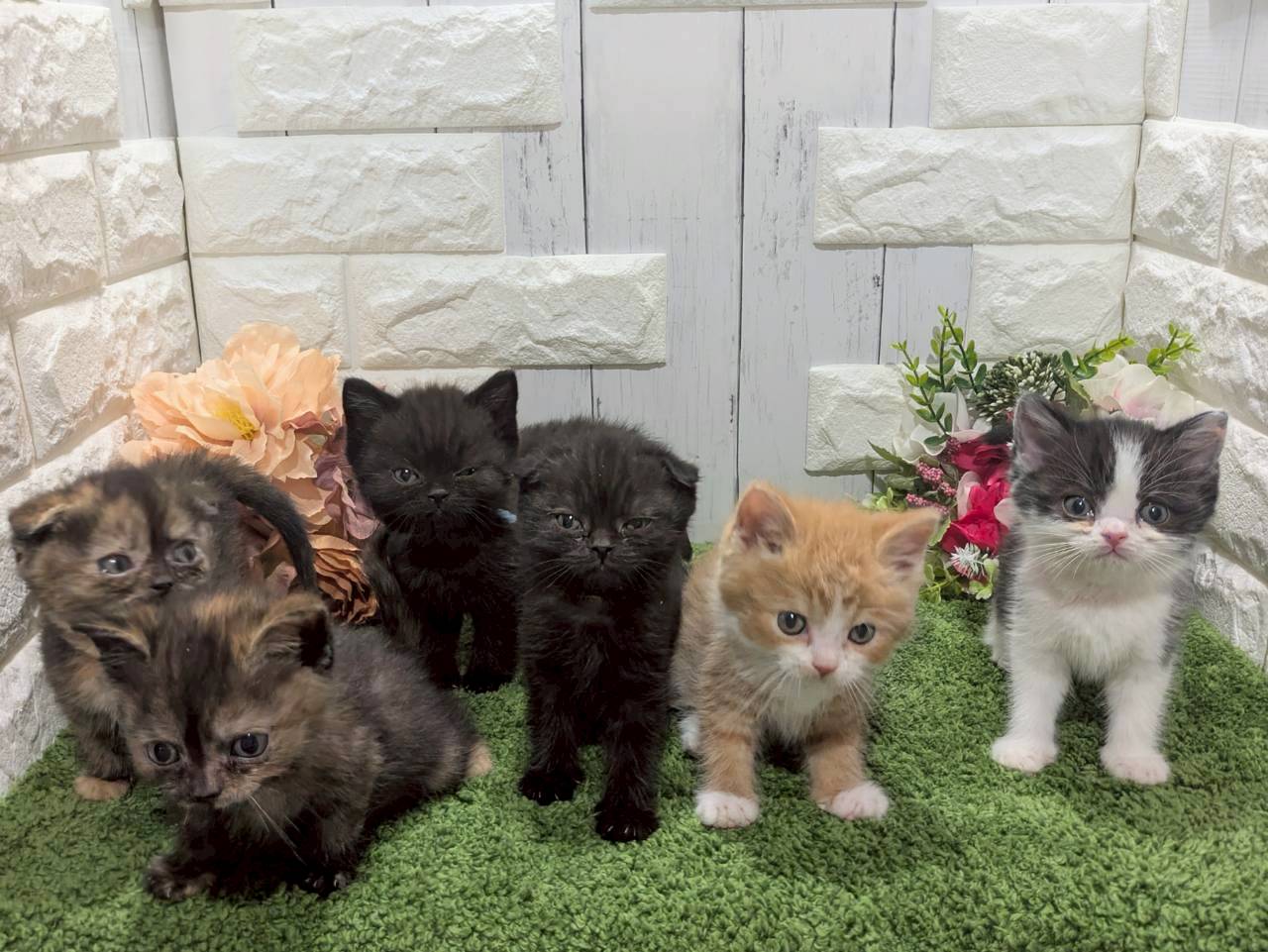 赤ちゃん写真3-3