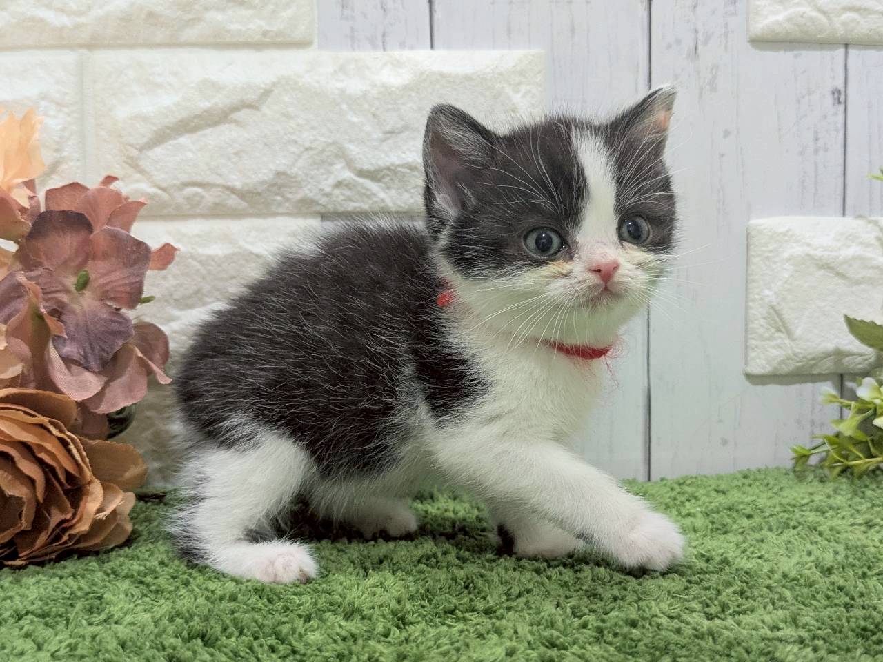 赤ちゃん写真3-2