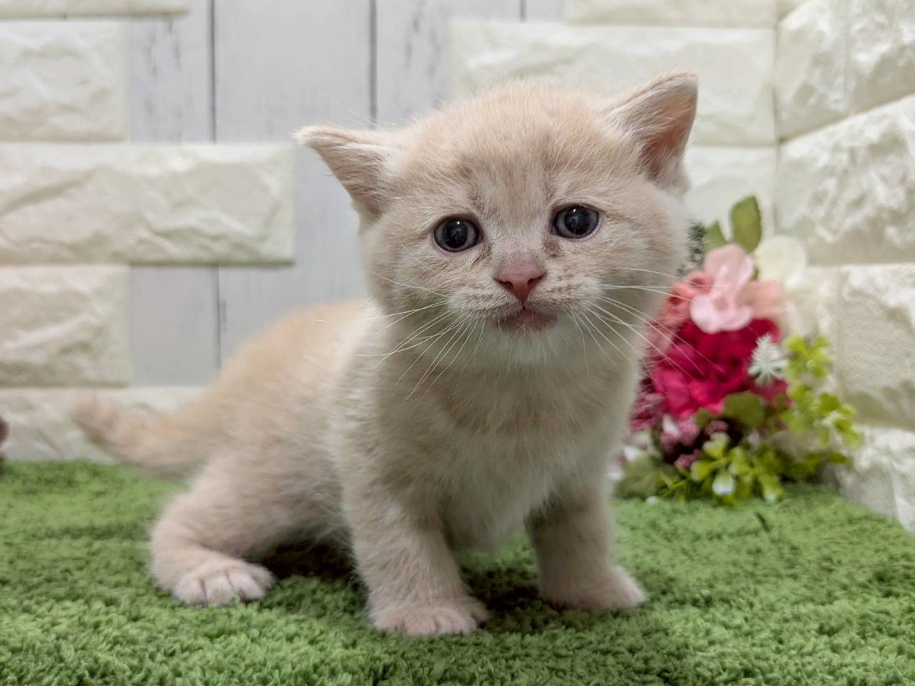赤ちゃん写真2-1
