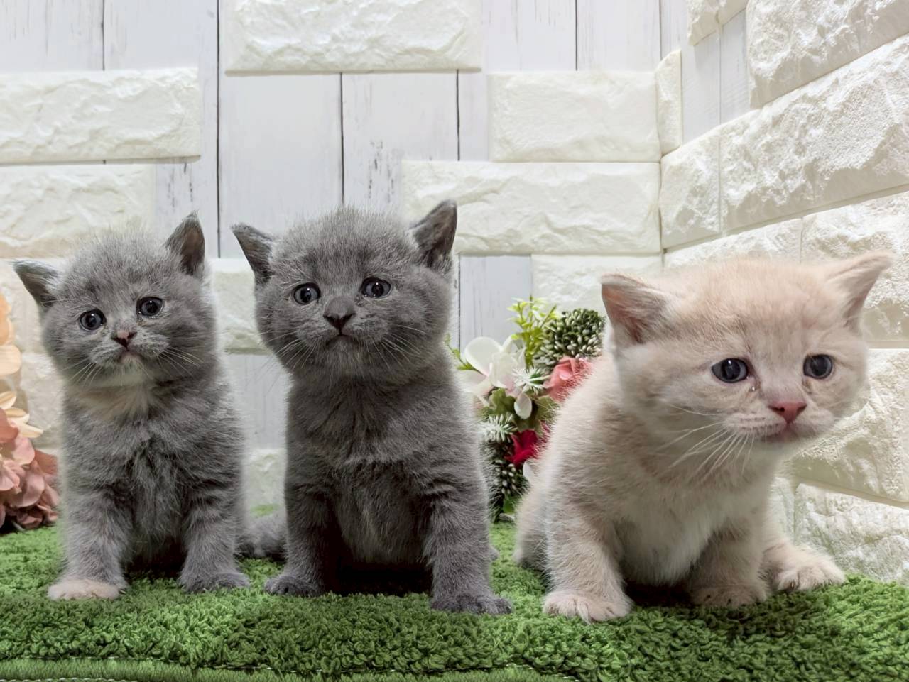 赤ちゃん写真2-3