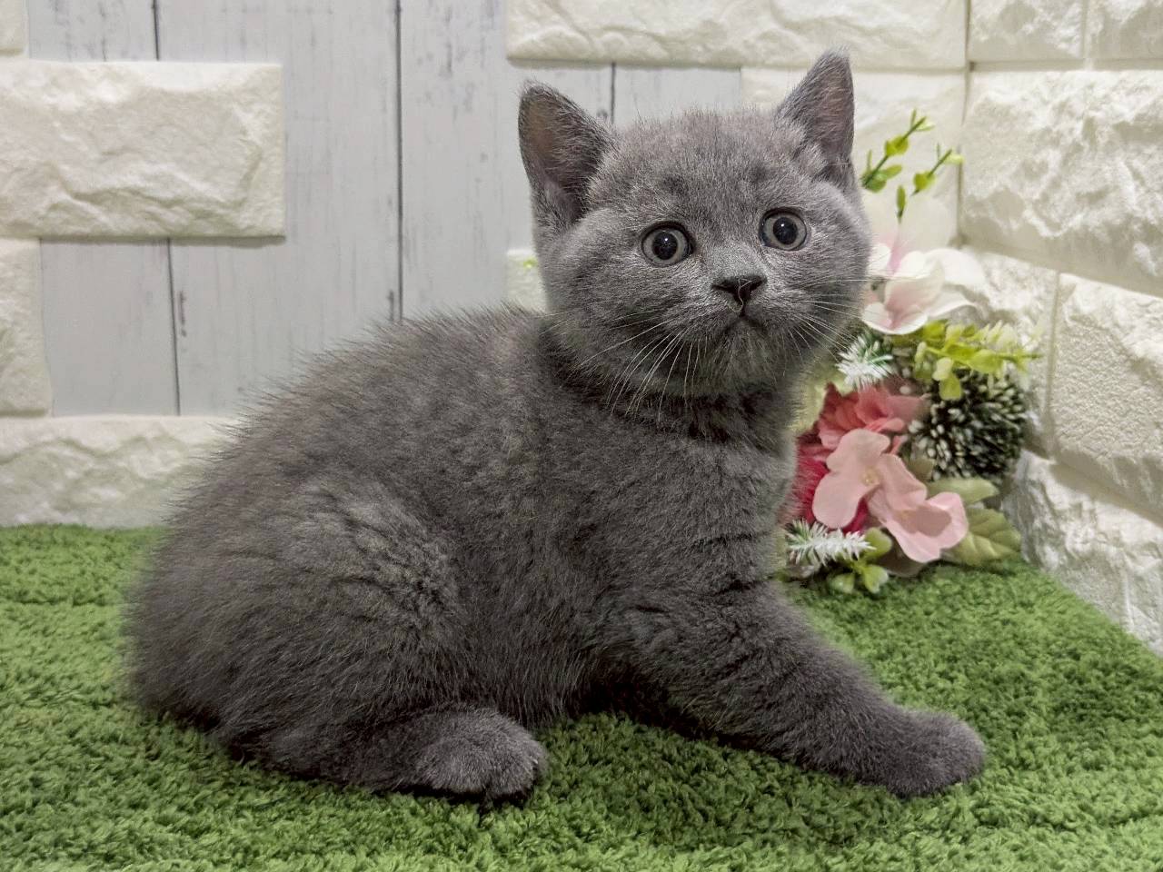 赤ちゃん写真3-2
