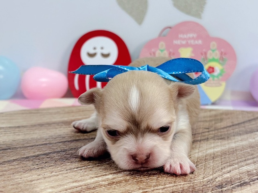 赤ちゃん写真1-1