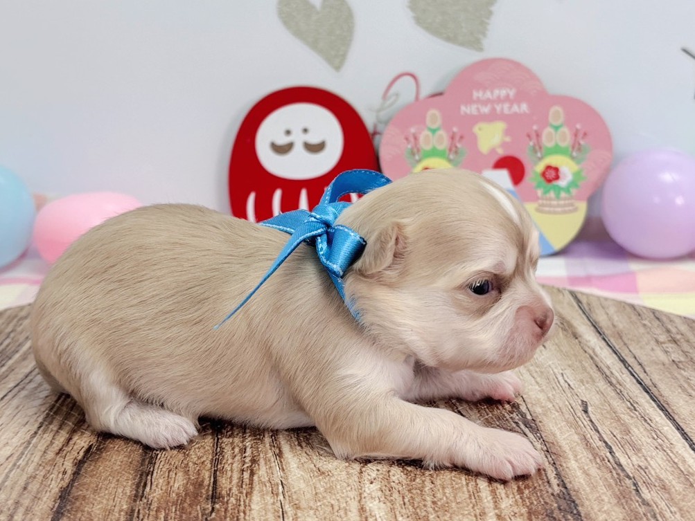 赤ちゃん写真1-2