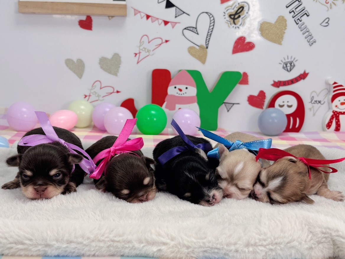 赤ちゃん写真1-3