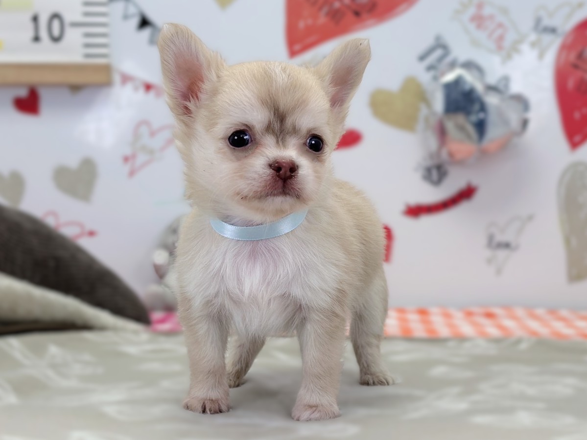 赤ちゃん写真2-1