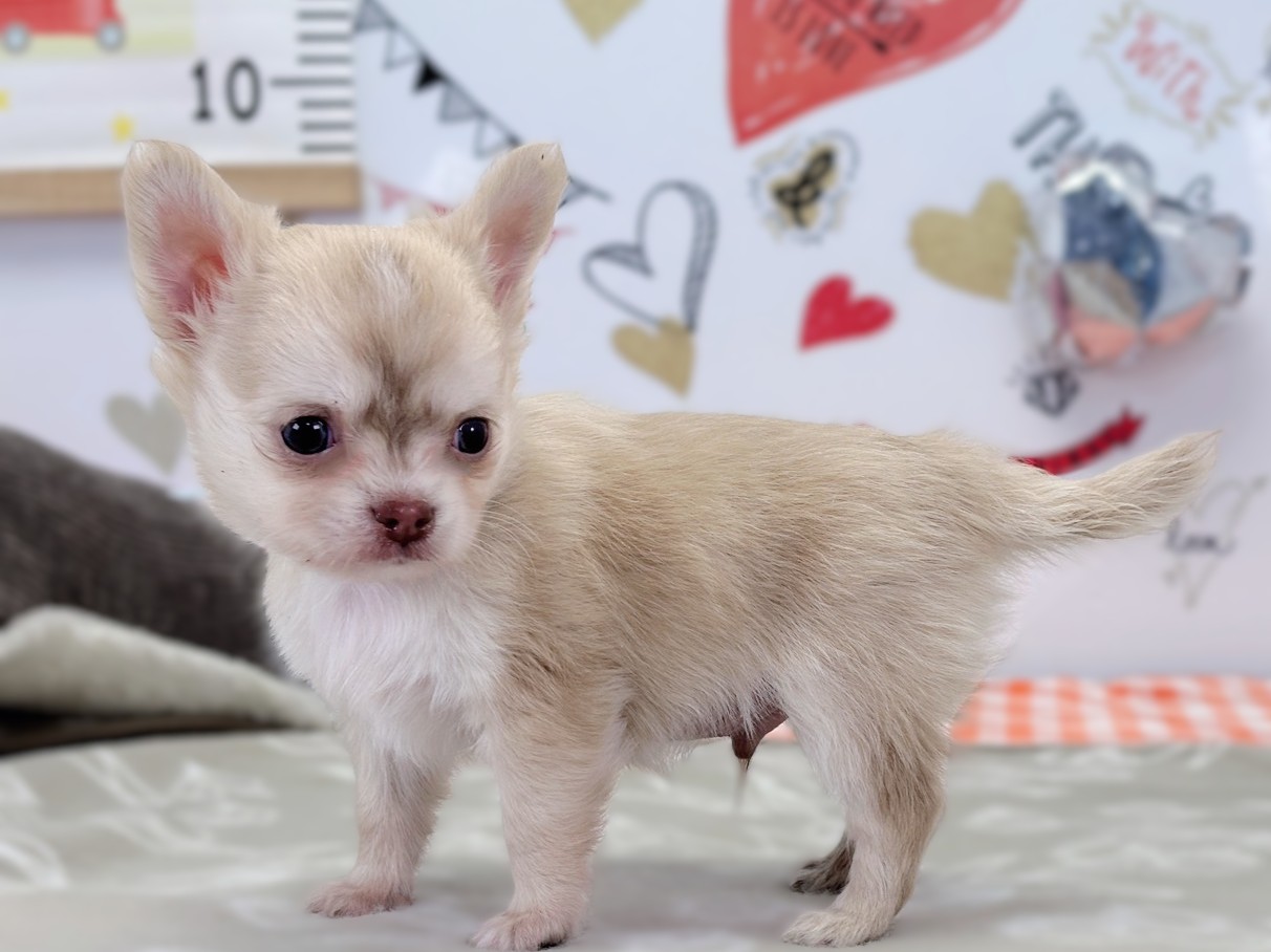 赤ちゃん写真2-2