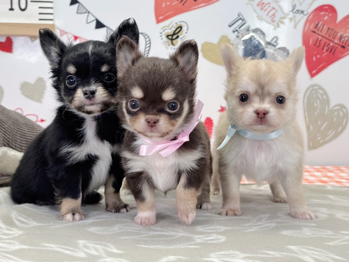 赤ちゃん写真2-3