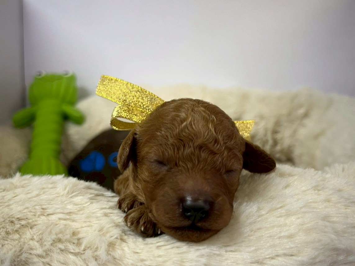 赤ちゃん写真1-1