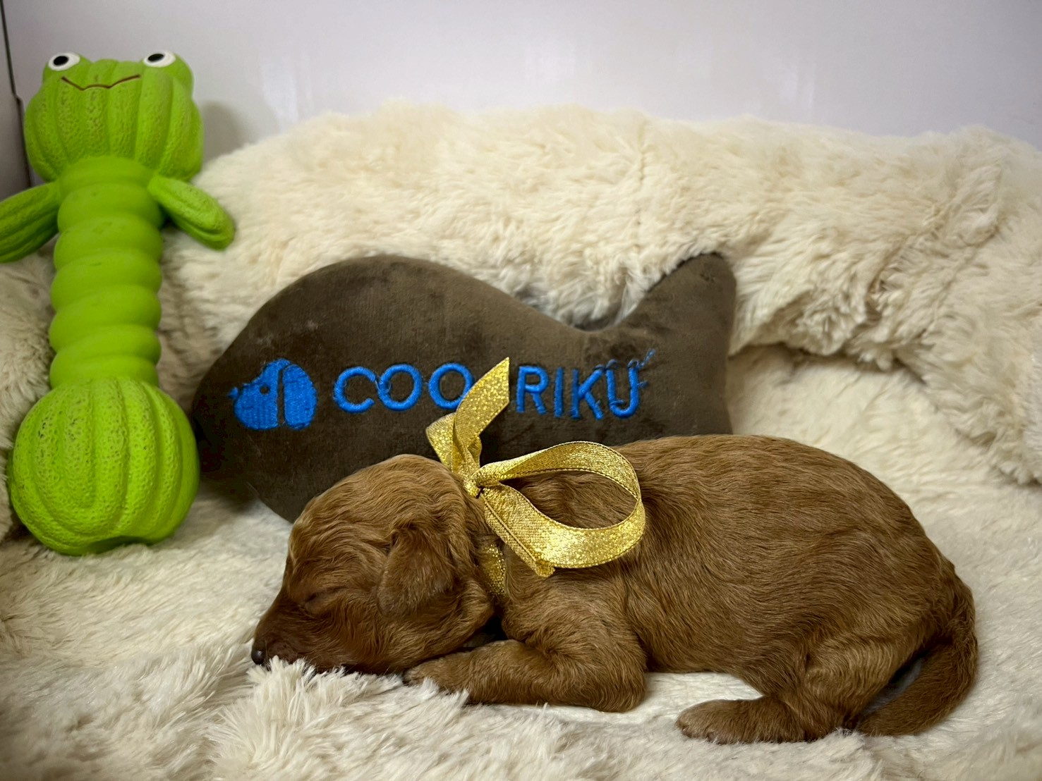 赤ちゃん写真1-2