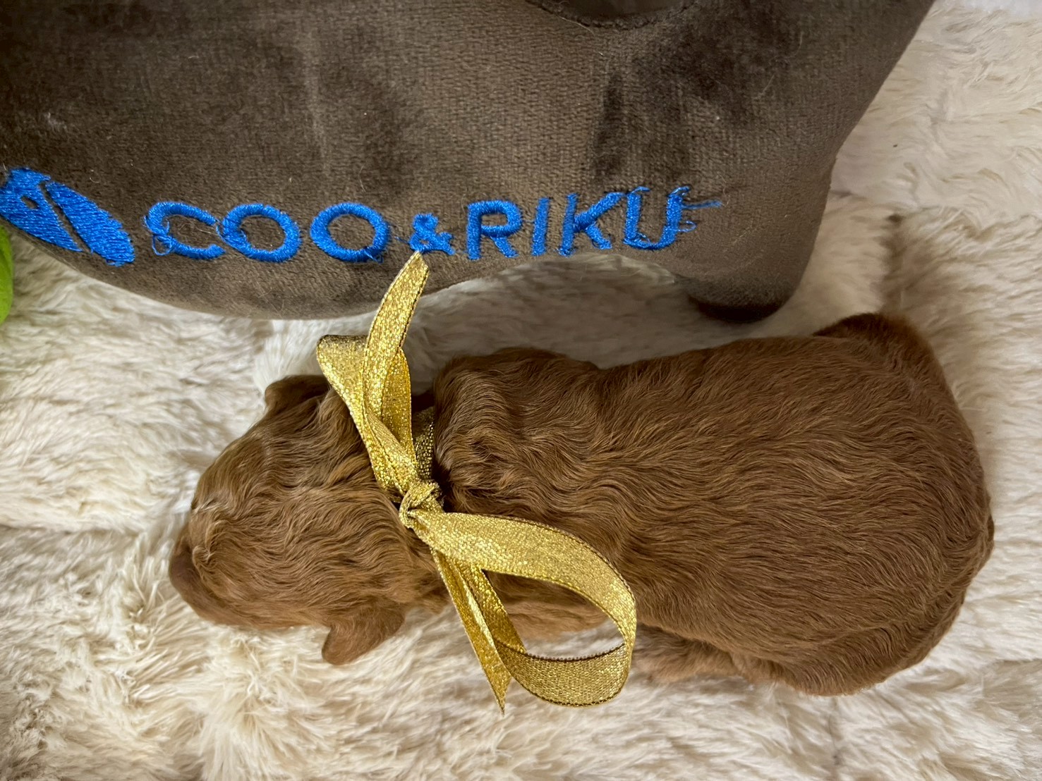 赤ちゃん写真1-3