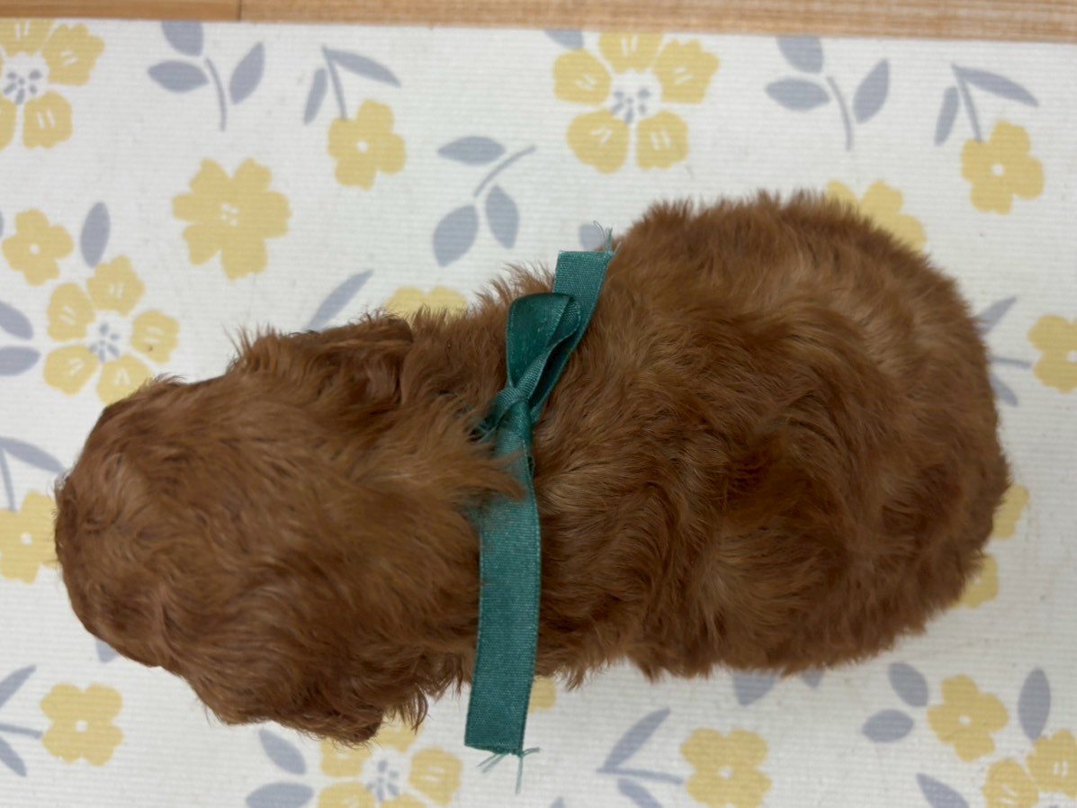 赤ちゃん写真2-3