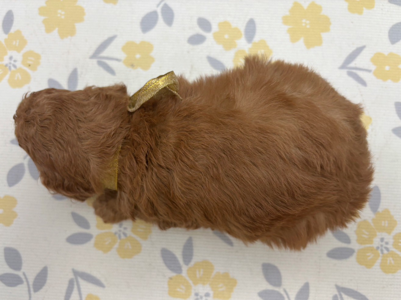 赤ちゃん写真2-3