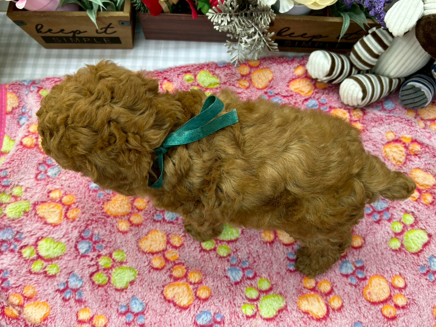 赤ちゃん写真3-3
