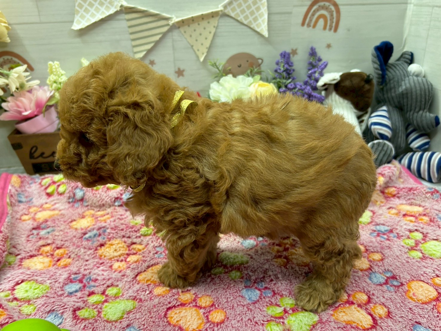 赤ちゃん写真3-2