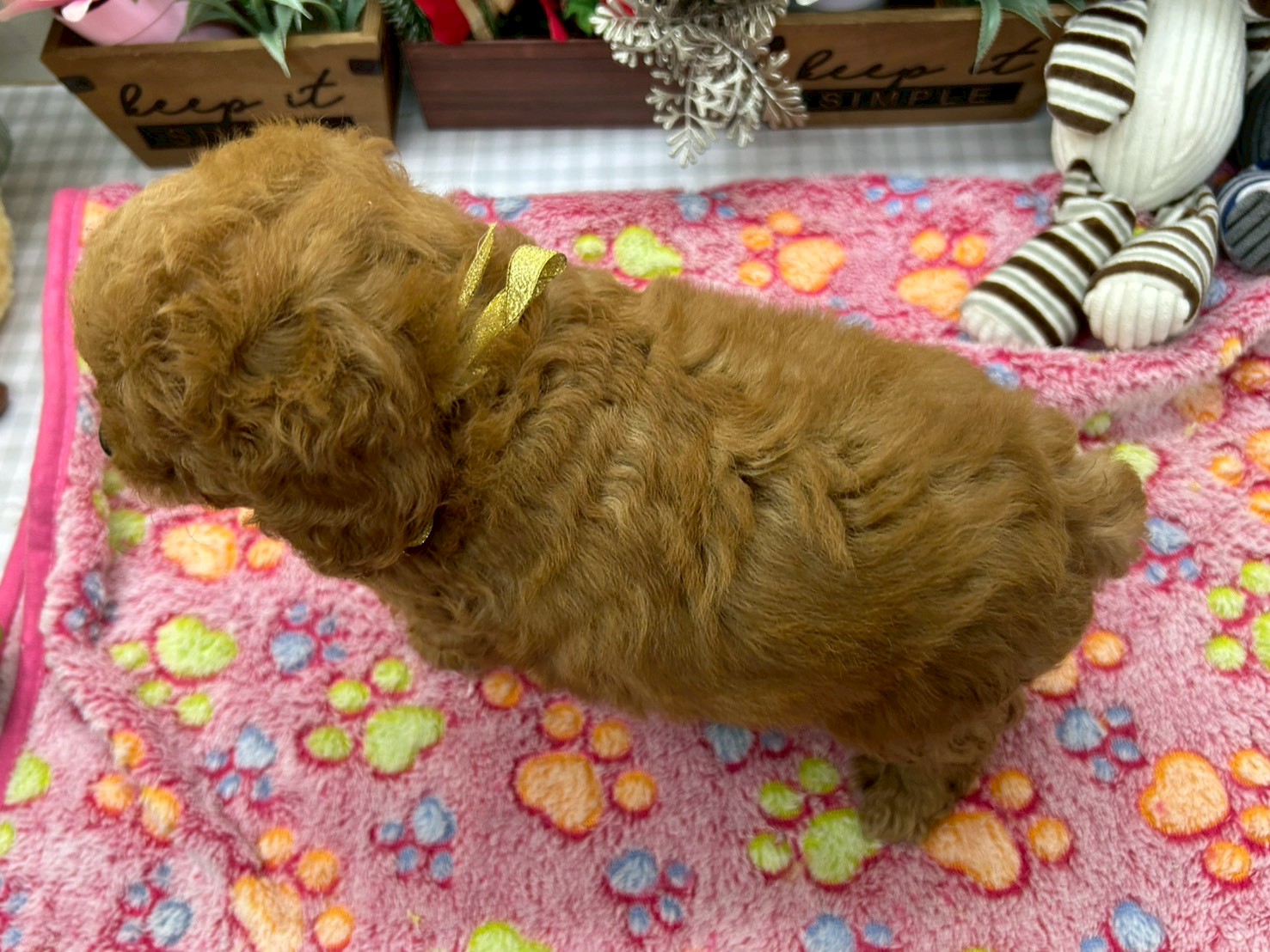 赤ちゃん写真3-3