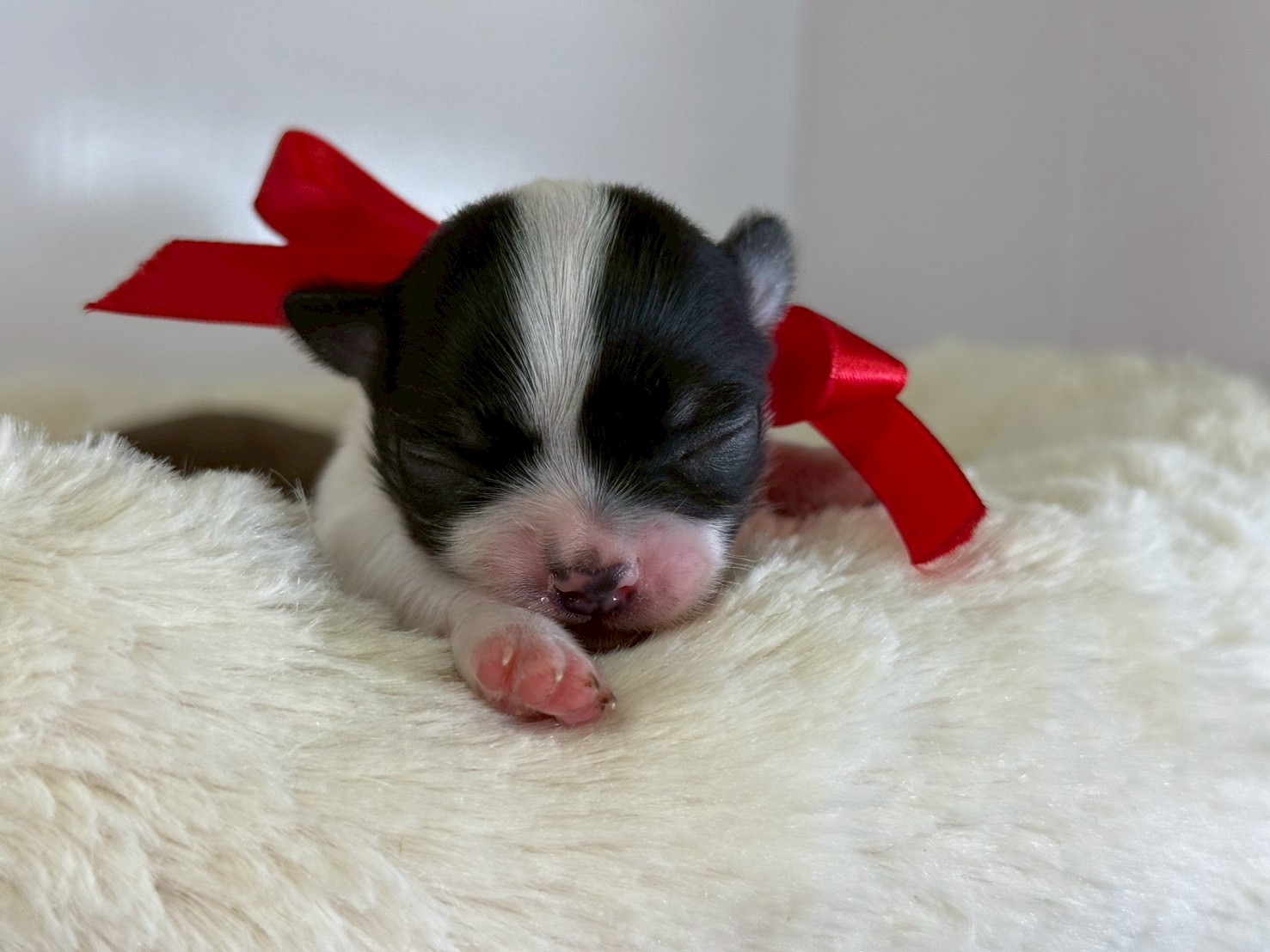 赤ちゃん写真1-1