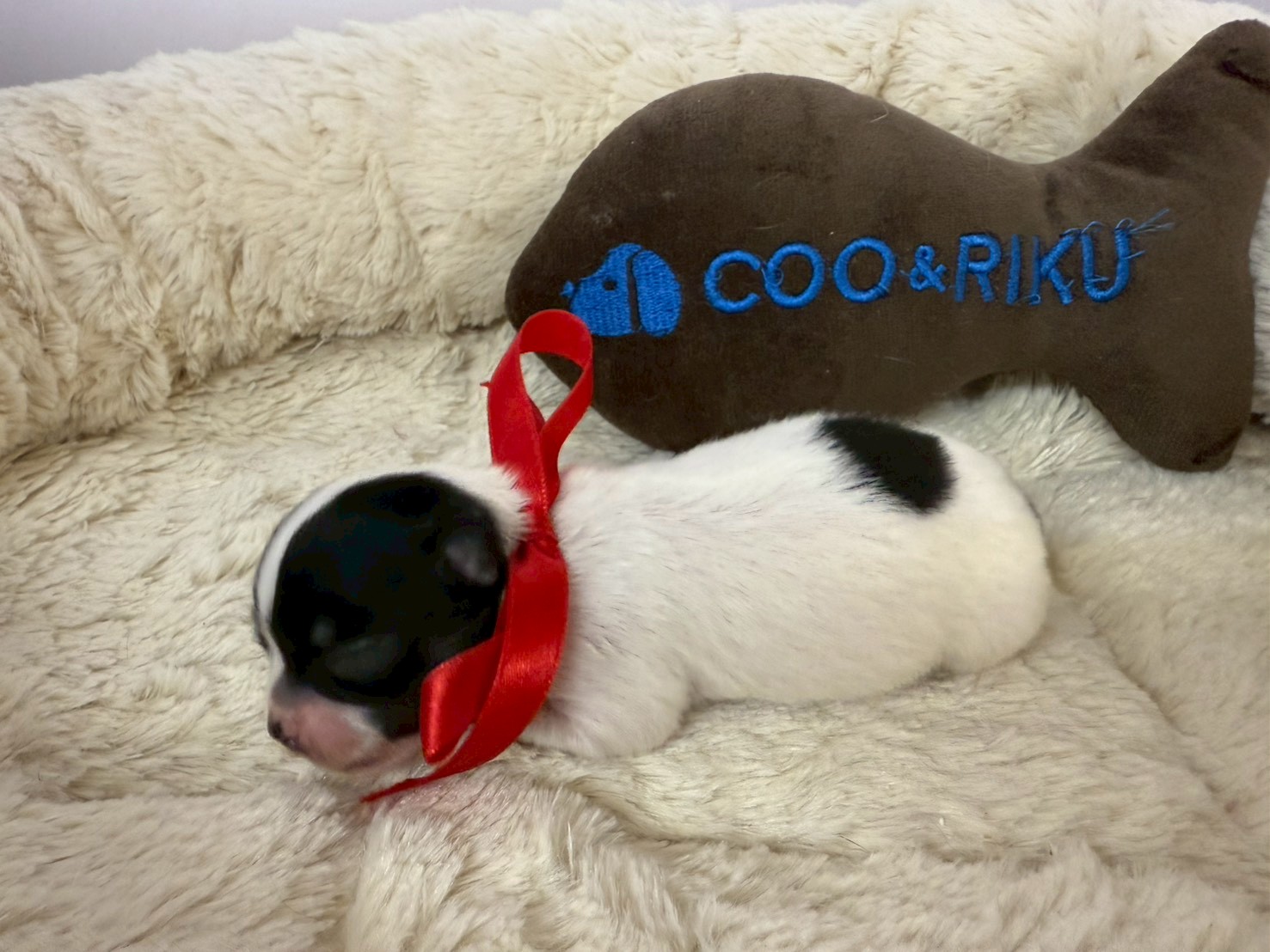 赤ちゃん写真1-2