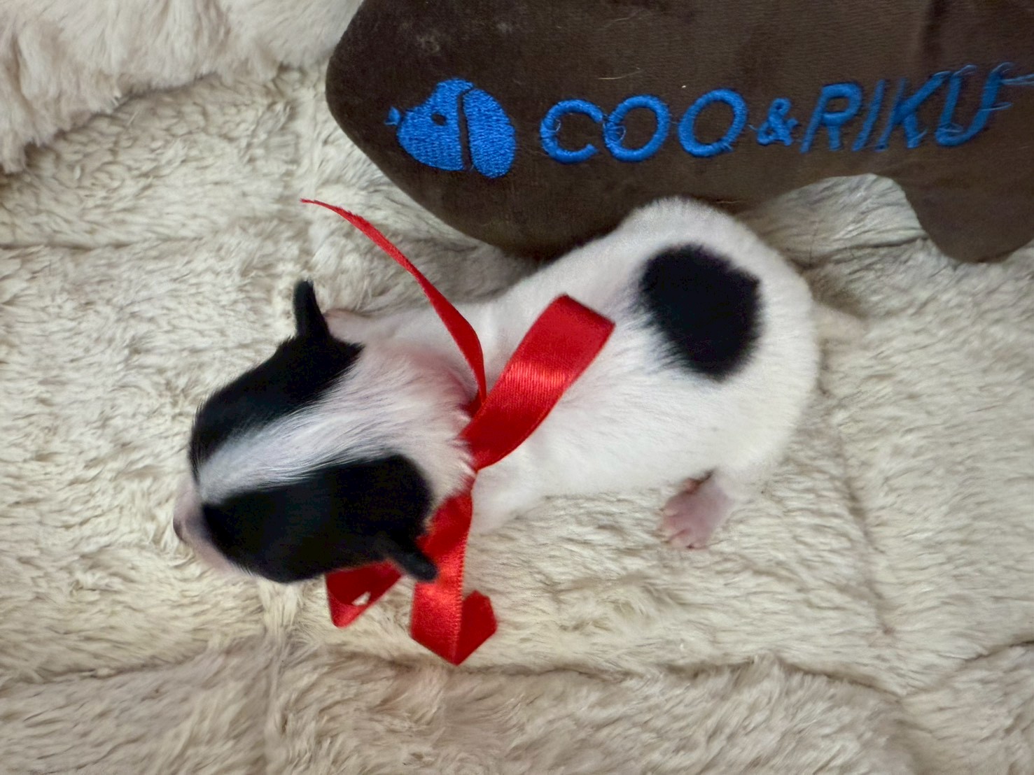 赤ちゃん写真1-3