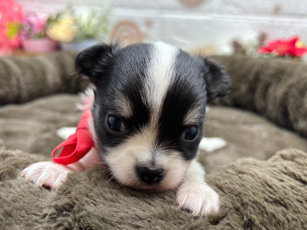 赤ちゃん写真2-1