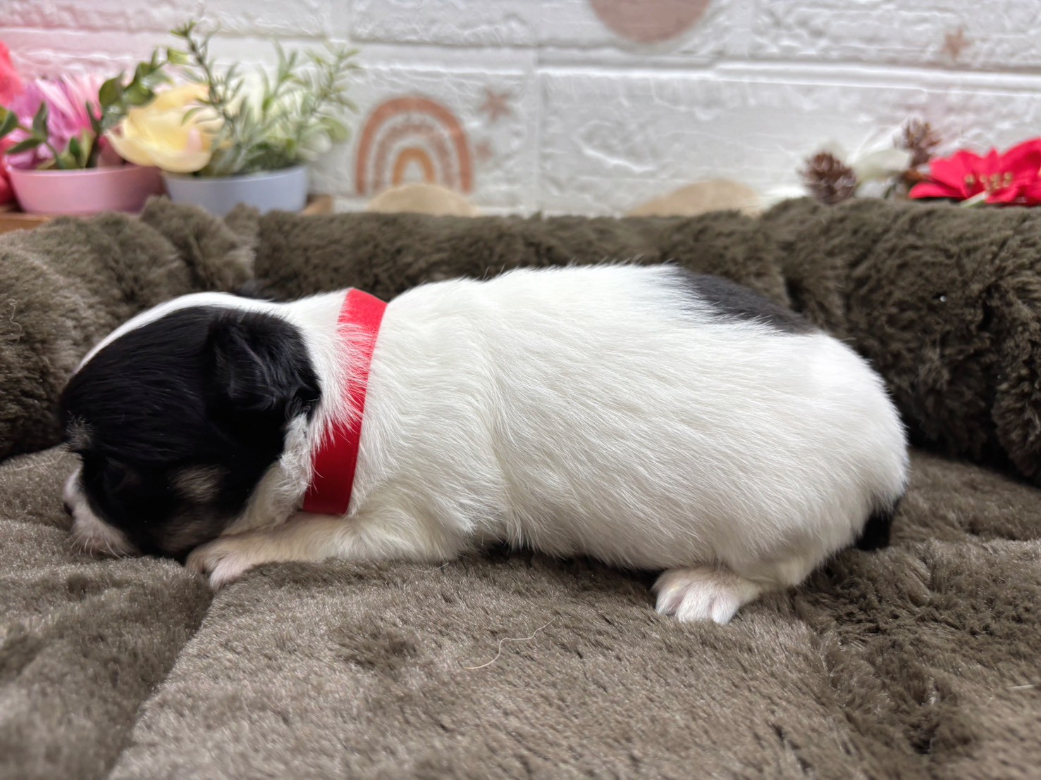 赤ちゃん写真2-2