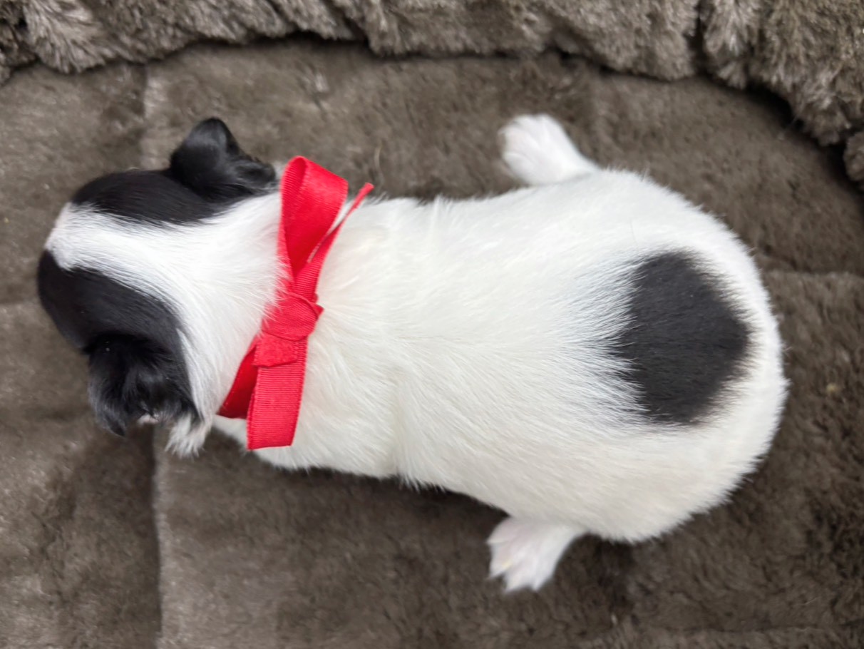 赤ちゃん写真2-3