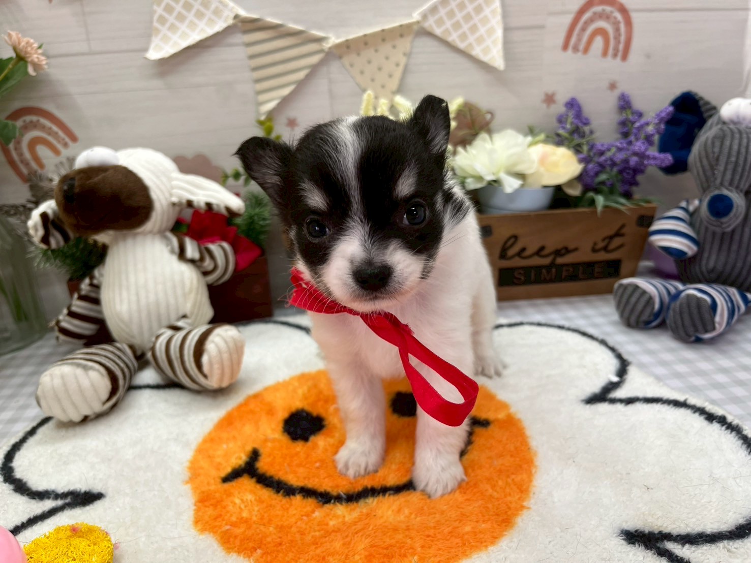 赤ちゃん写真3-1