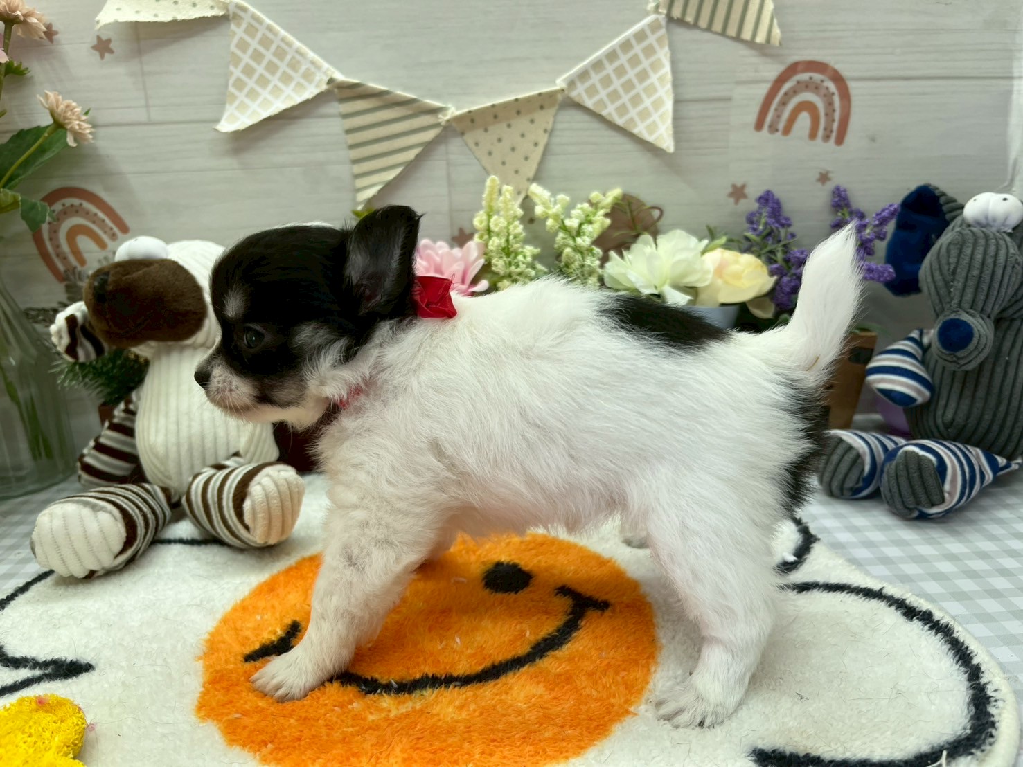 赤ちゃん写真3-2