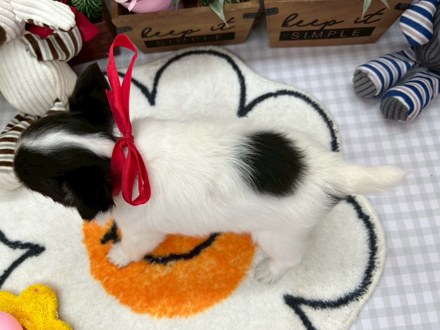 赤ちゃん写真3-3