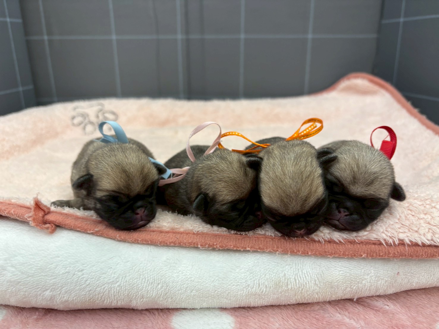 赤ちゃん写真1-3