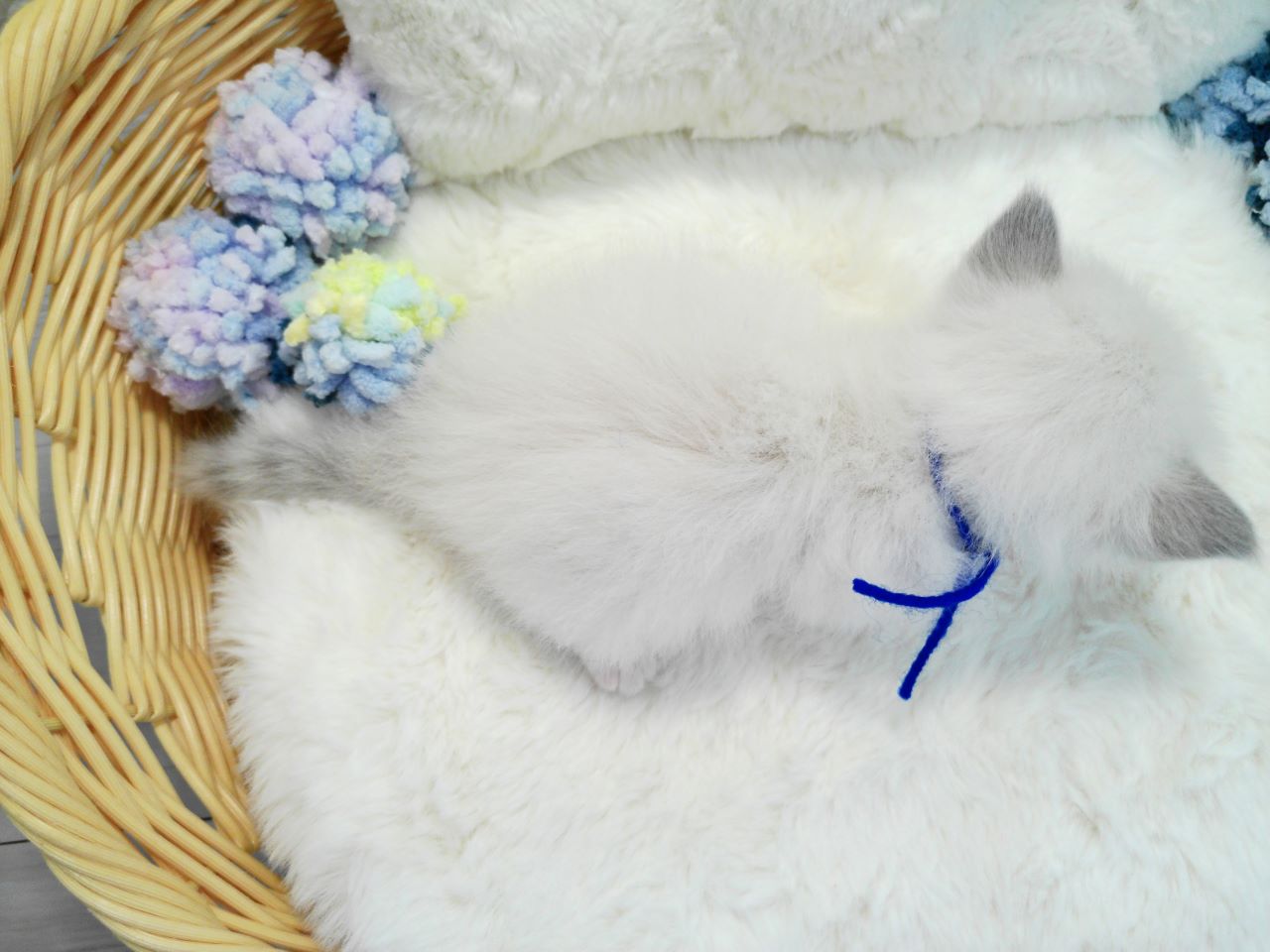 赤ちゃん写真1-3