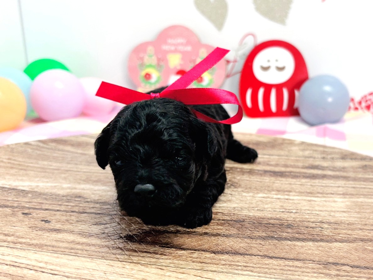 赤ちゃん写真1-1