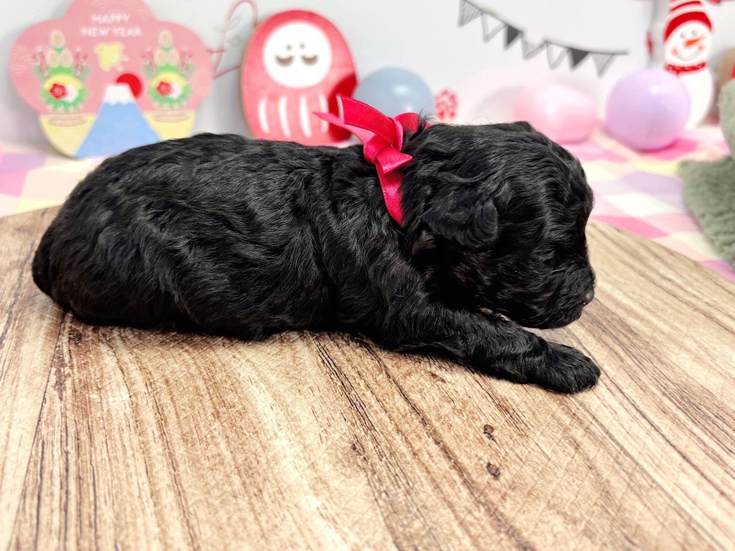 赤ちゃん写真1-2