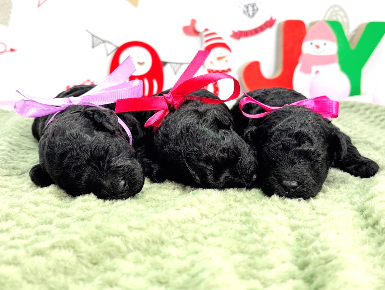 赤ちゃん写真1-3