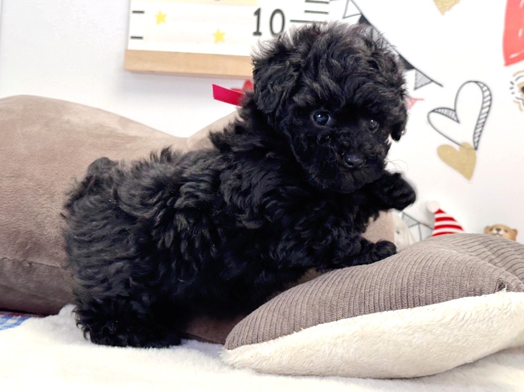 赤ちゃん写真2-2