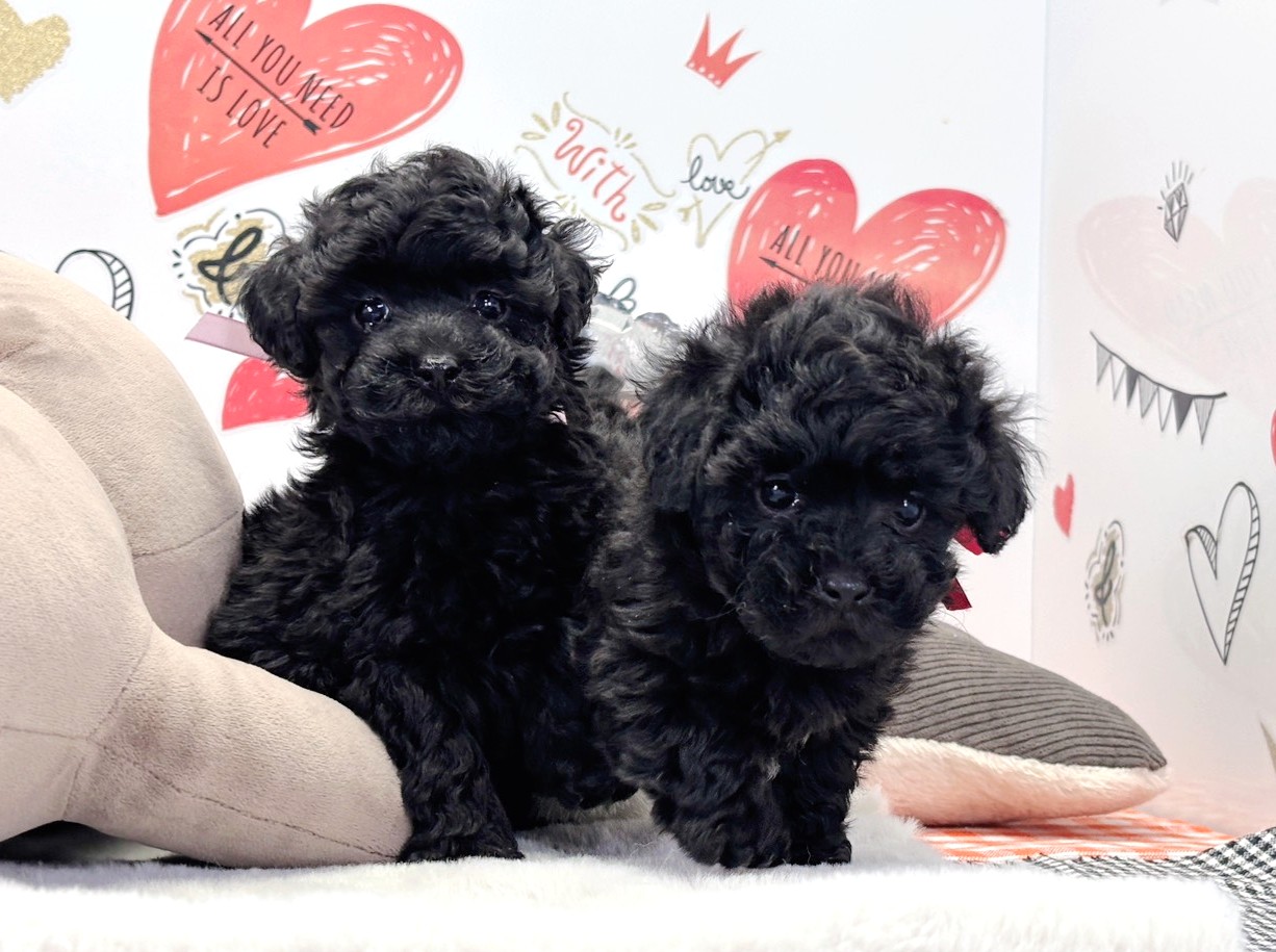 赤ちゃん写真2-3