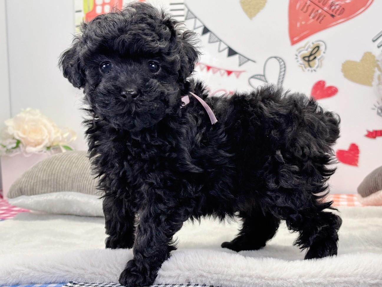 赤ちゃん写真2-2