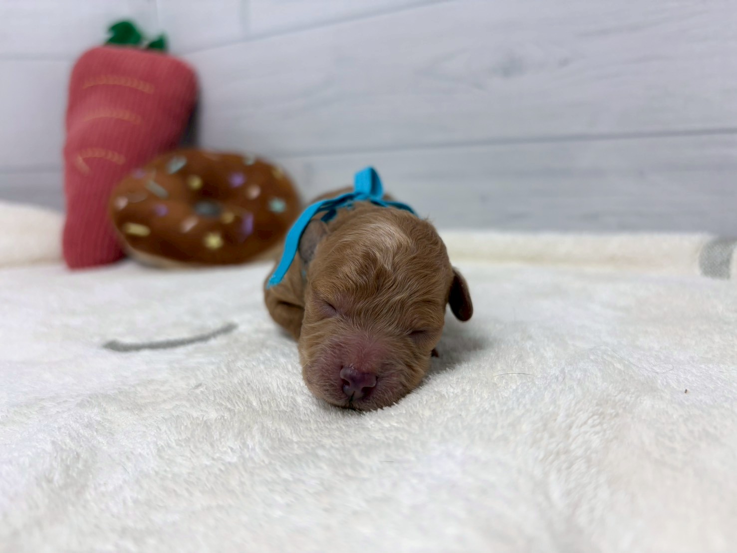 赤ちゃん写真1-1