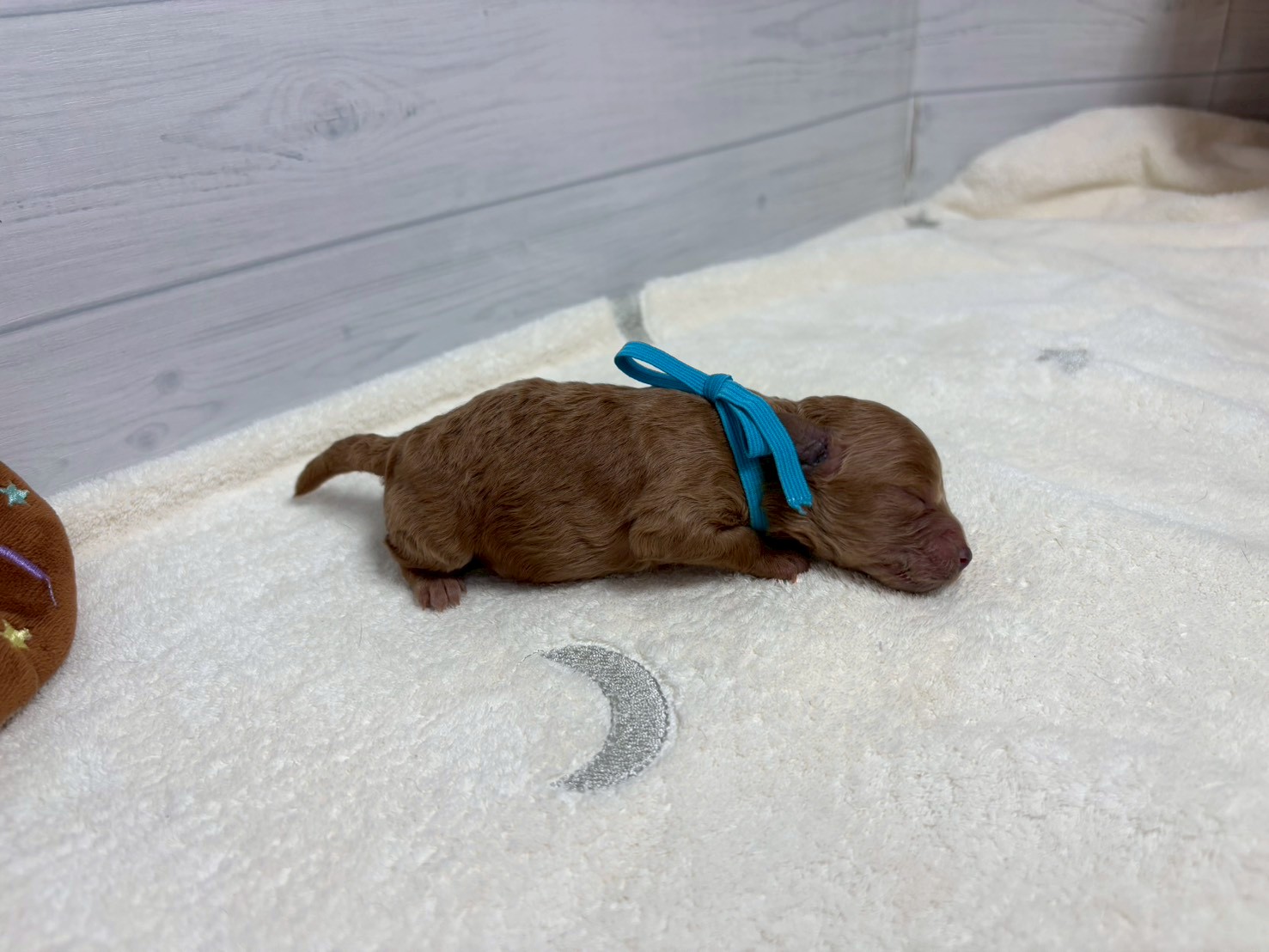 赤ちゃん写真1-2