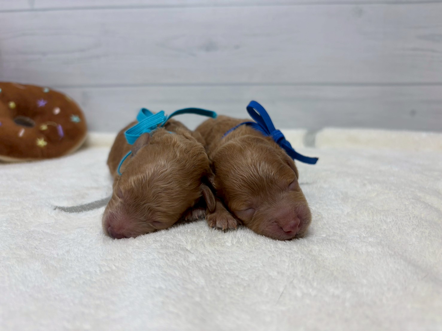 赤ちゃん写真1-3