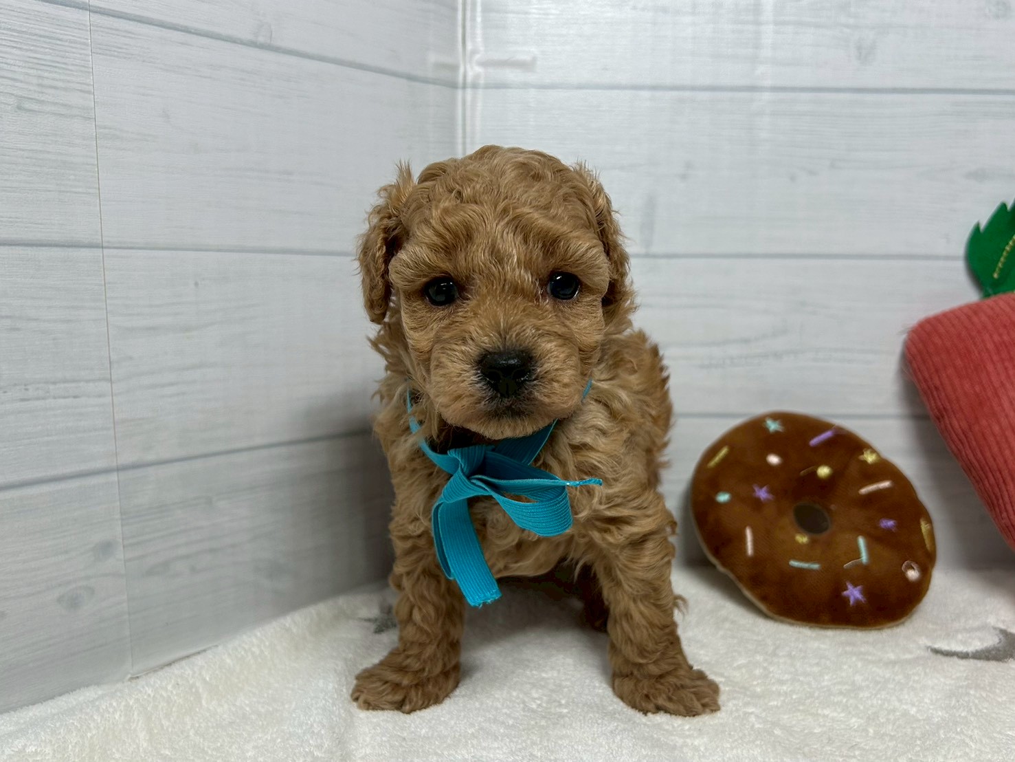 赤ちゃん写真2-1