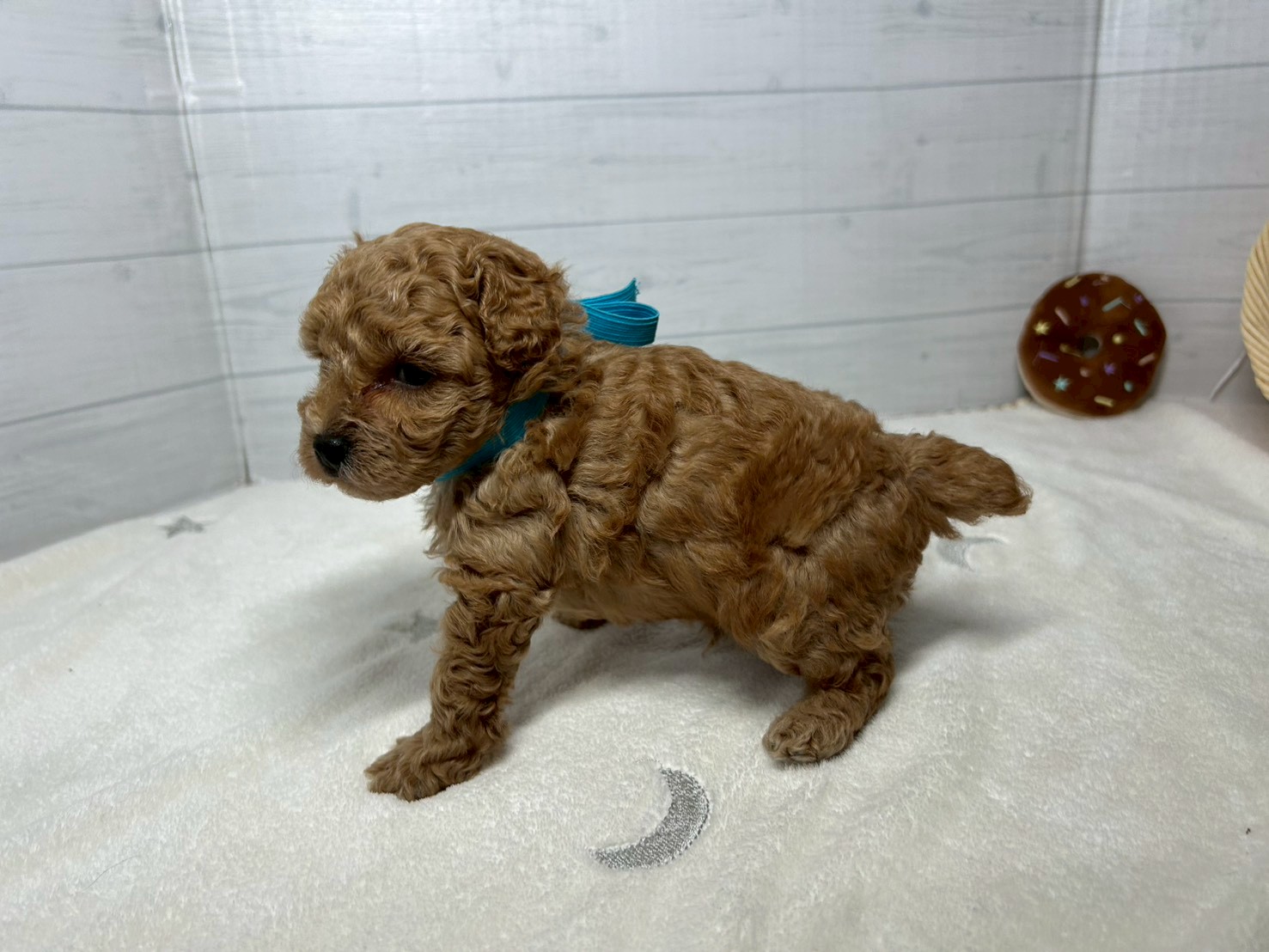 赤ちゃん写真2-2