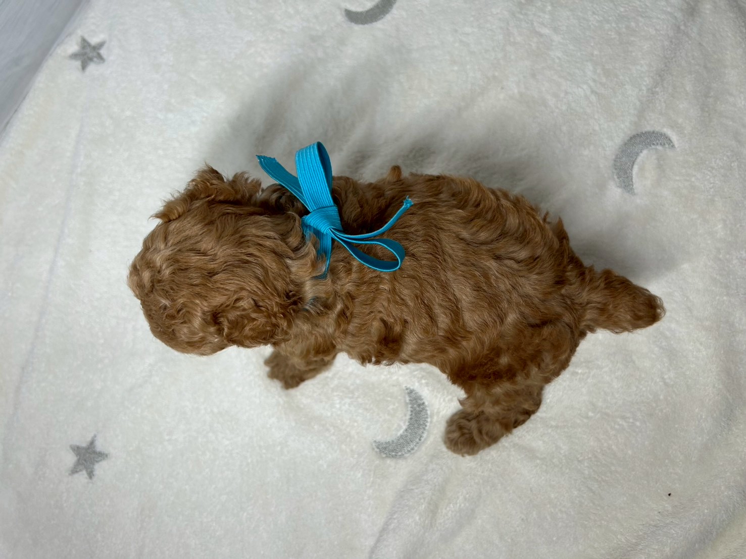 赤ちゃん写真2-3