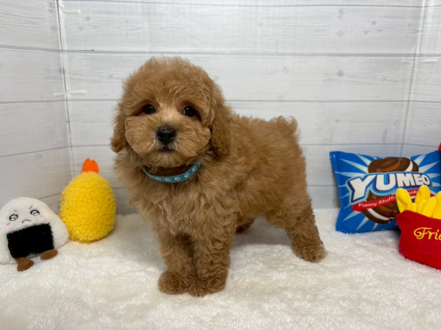 赤ちゃん写真3-1