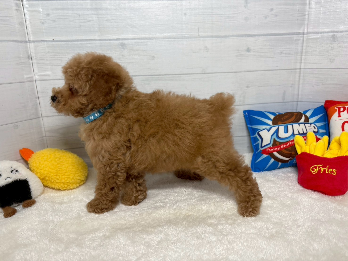 赤ちゃん写真3-2