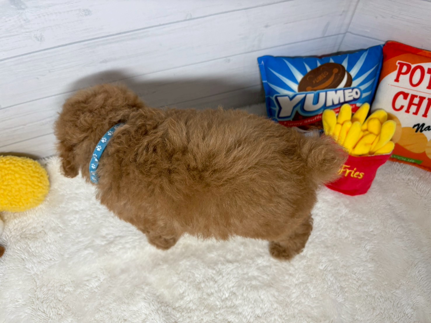 赤ちゃん写真3-3